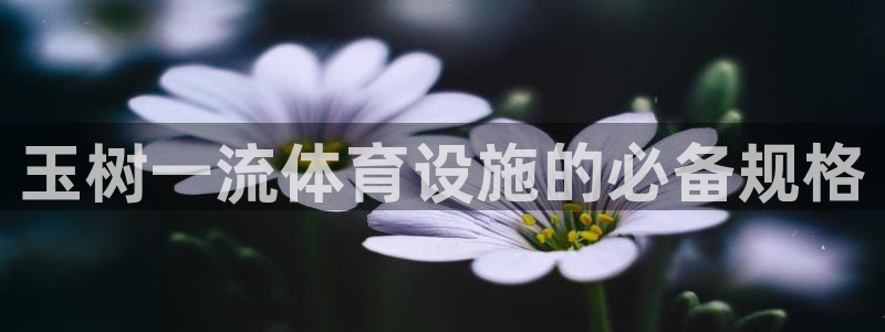 凯时登录界面