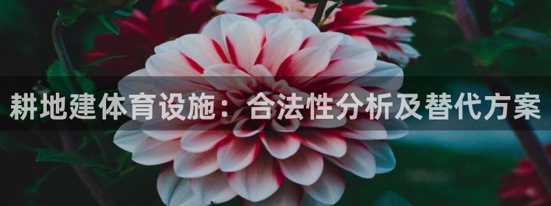 尊龙官网首页