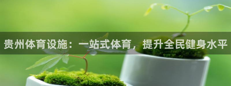 凯时官网手机版下载