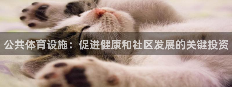 尊龙人生就是博网站下载