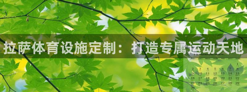 尊龙凯时能做退米么