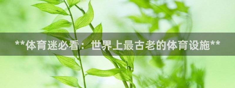 尊龙凯时麻将胡了