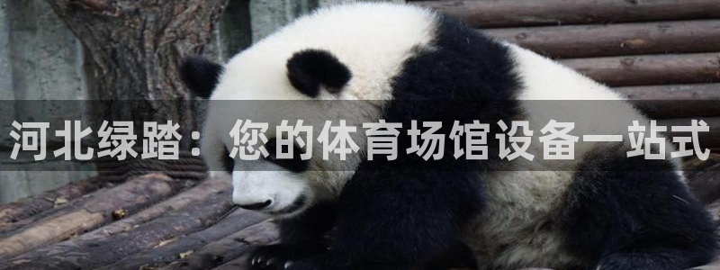 尊龙凯时ag旗舰厅试玩