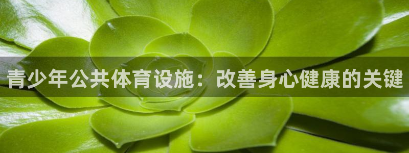 尊龙凯时赞助