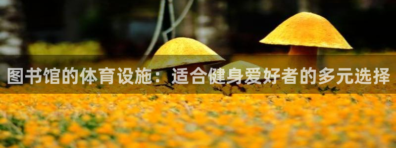 尊龙凯时代理佣金发不发