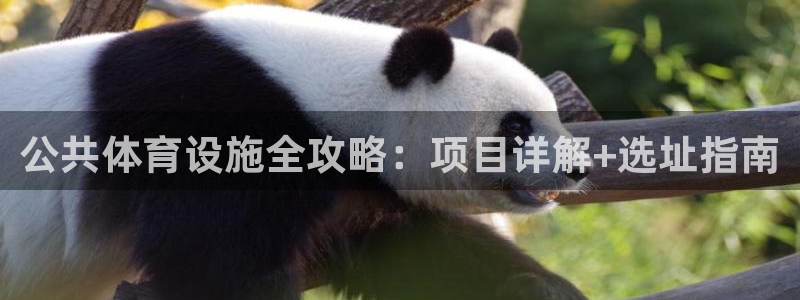 尊龙凯时是直营吗