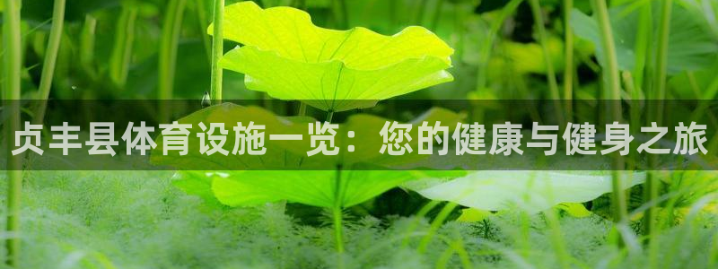 尊龙人生就是博AG旗舰厅
