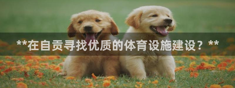 kb88凯时唯一官网注册