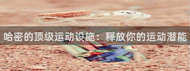 凯时国际官方版