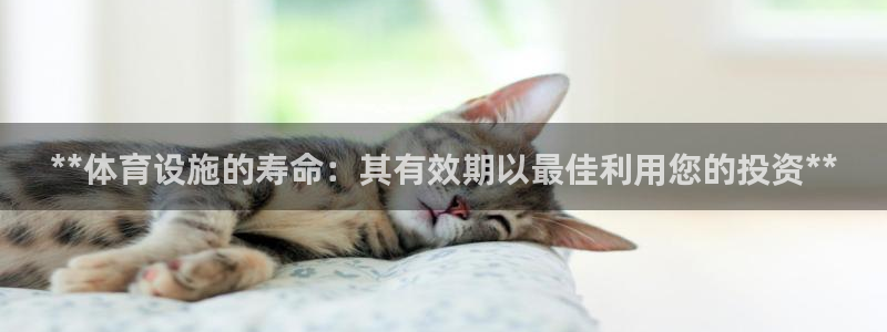 尊龙凯时旗舰厅官网