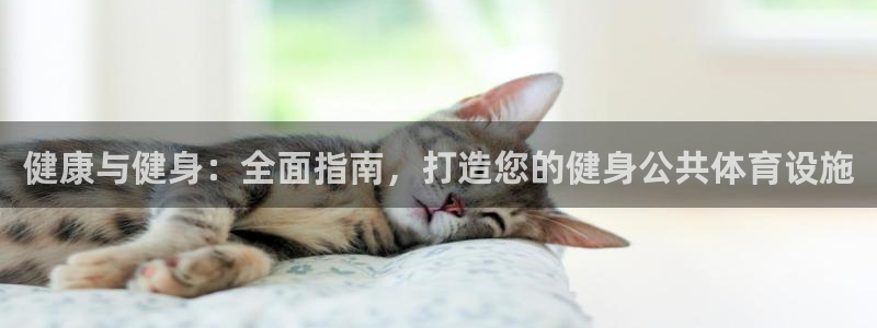 凯时k66官方发布