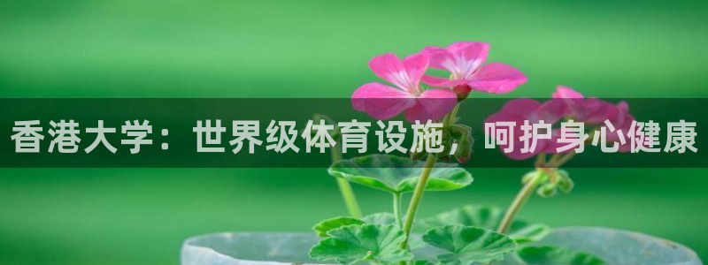 尊龙凯时能做退米么