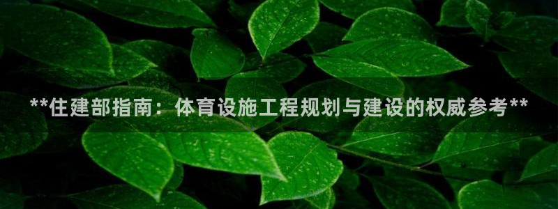 尊龙人生就是博登录