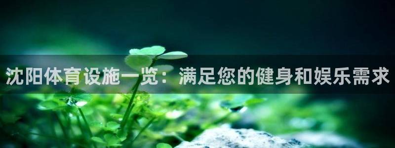 尊龙官方网站最新版V9.3.06介绍