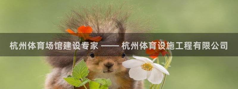 尊龙凯时 人生就是搏