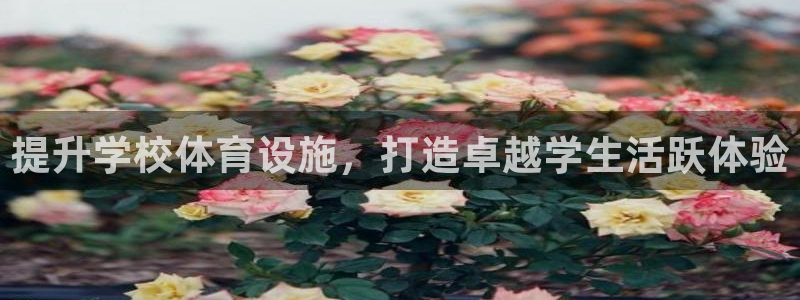 尊龙d88官网准认来就送38