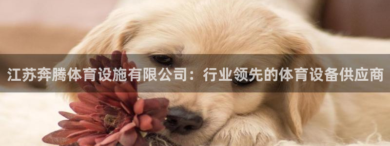 尊龙凯时ag旗舰厅登陆
