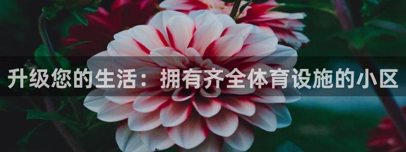 尊龙网站注册站注册
