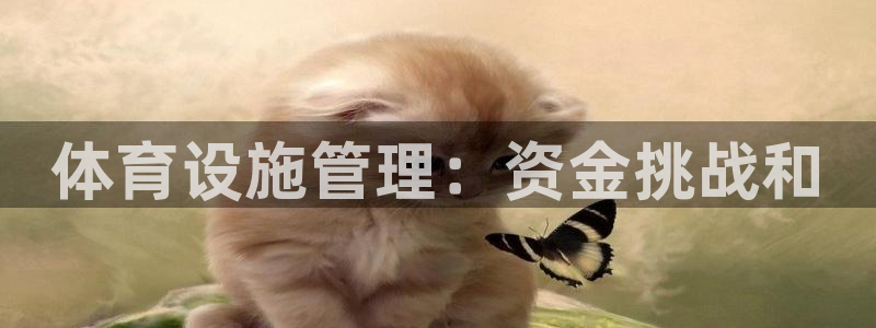 尊龙人生就是博首页入口
