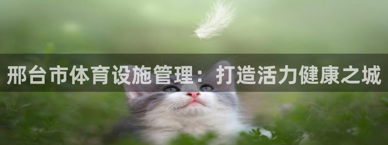 尊龙凯时老板