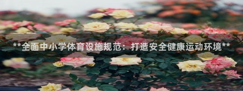 尊龙凯时网娱乐官网