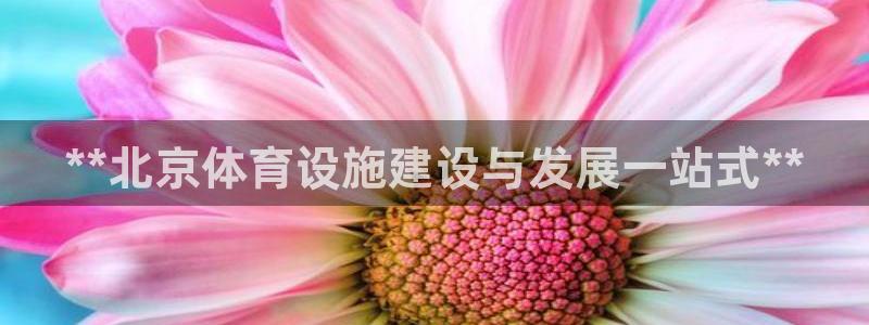 尊龙凯时返现
