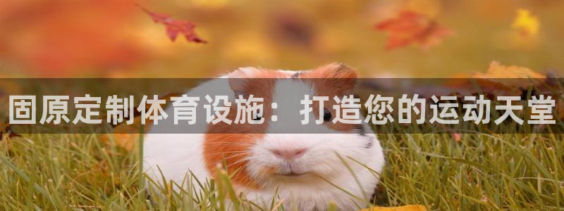 尊龙凯时人生就博