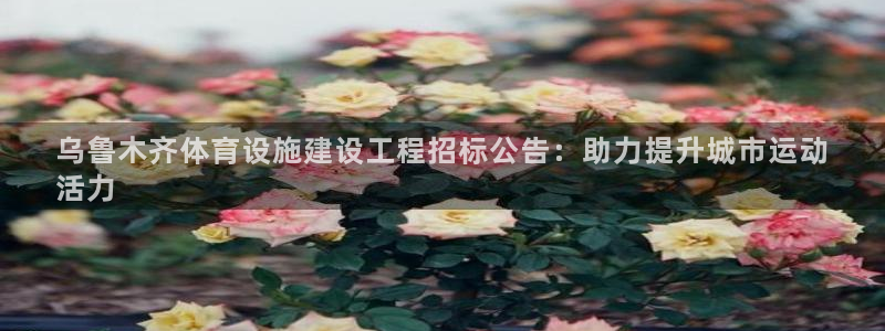 尊龙t600