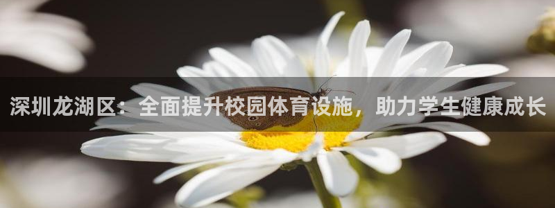 尊龙官方身高