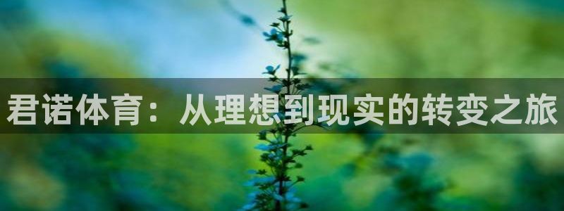 尊龙凯时vip