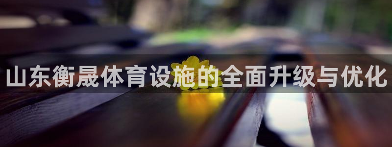 尊龙新版app首页