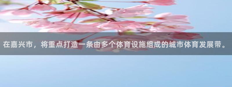尊龙人生就是搏