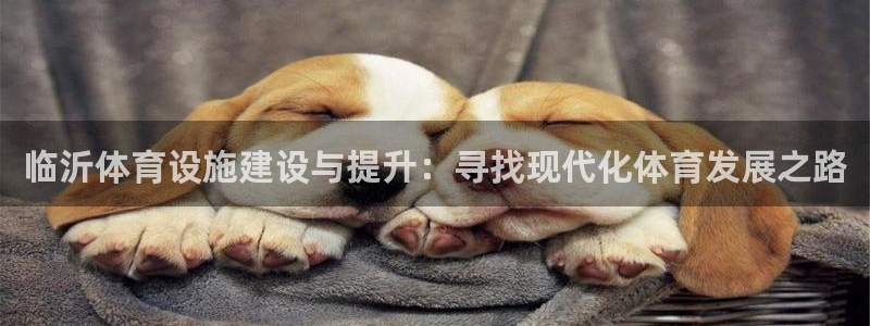 尊龙D88现金旧版