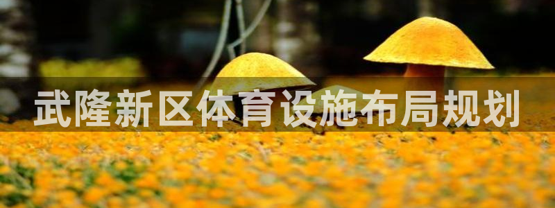 尊龙凯时人生就是博·(中国)