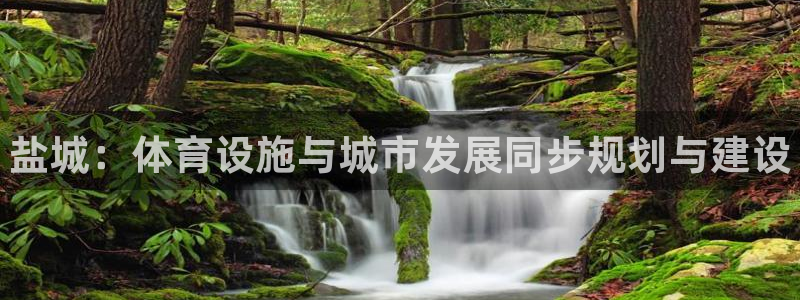 尊龙凯时白家乐