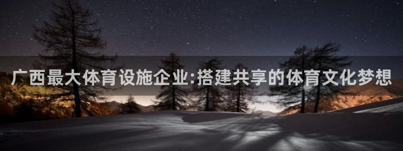 尊龙手机客户端app